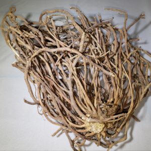 Sarsaparilla Root Natural Herbal Teas Acne