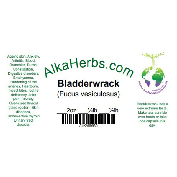 Bladderwrack ( Fucus vesiculosus ) Natural Herbal Capsules for Sale 5