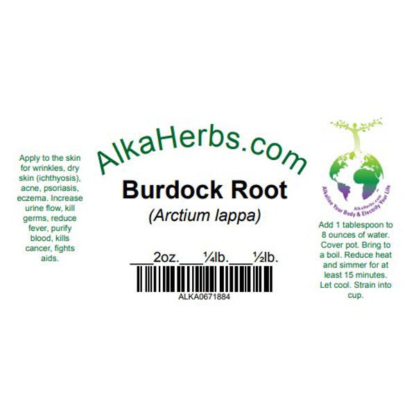 Burdock Root ( Arctium lappa ) Natural Herbal Teas 4