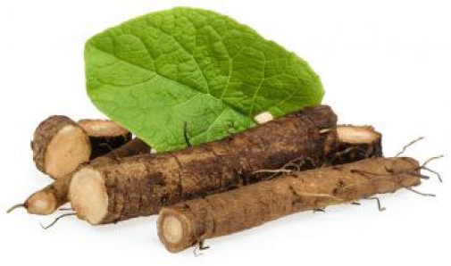 Burdock Root ( Arctium ) Natural Herbal Teas 3