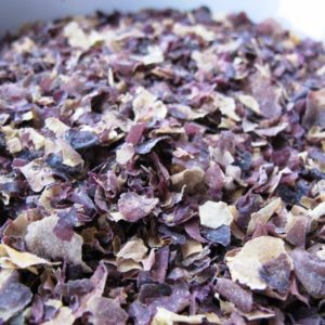 Dulse Flakes ( Palmaria palmata ) Natural Herbal Teas herbs