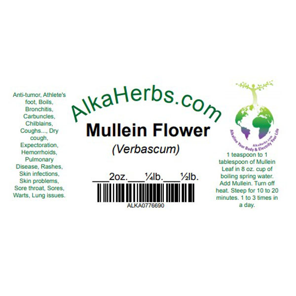 Mullein (Verbascum thapsus) Natural Herbal Teas asthma 5