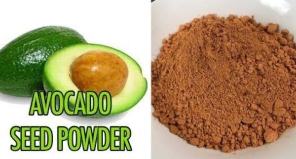 Avocado Powder Food Alkaherbs 4