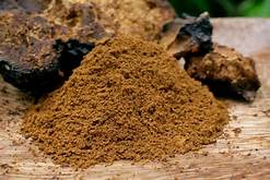 Chaga Mushroom ( Inonotus obliquus ) Natural Herbal Teas Chaga mushrooms contains a wide variety of minerals and nutrients. Slows the aging process