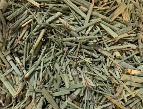 Horsetail (Shavegrass) Natural Herbal Teas Chemical free 5