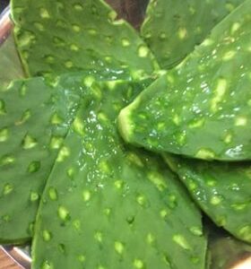 Nopal Food alkaline