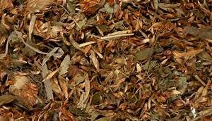 Red Clover Herb ( Trifolium pratense ) Natural Herbal Teas Cancer prevention