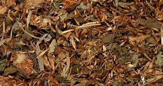 Red Clover Herb ( Trifolium pratense ) Natural Herbal Teas Cancer prevention 4