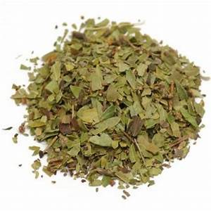 Uva Ursi Leaf ( Arctostaphylos uva ursi ) Natural Herbal Teas Alkaherbs 8