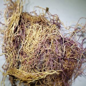 Sebian Sea Moss ( Chondrus crispus ) Natural Herbal Teas
