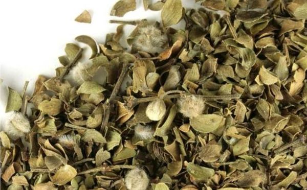 Chaparral Leaf (Larrea Tridentata) Natural Herbal Teas capsules 3