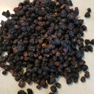 Elderberry ( Sambucus nigra ) Herb Alkaherbs