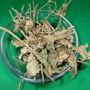Guinea Hen Weed (Petiveria alliacea) Natural Herbal Capsules