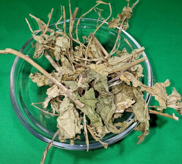 Guinea Hen Weed (Petiveria alliacea) Natural Herbal Capsules 3