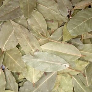Bay Leaves Spices
