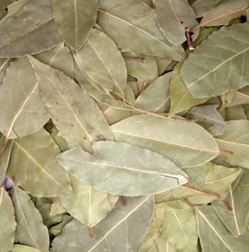Bay Leaves Spices 2
