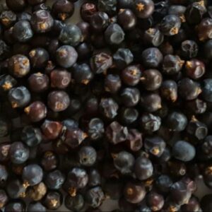 Juniper Berries (Juniperus communis) Herb