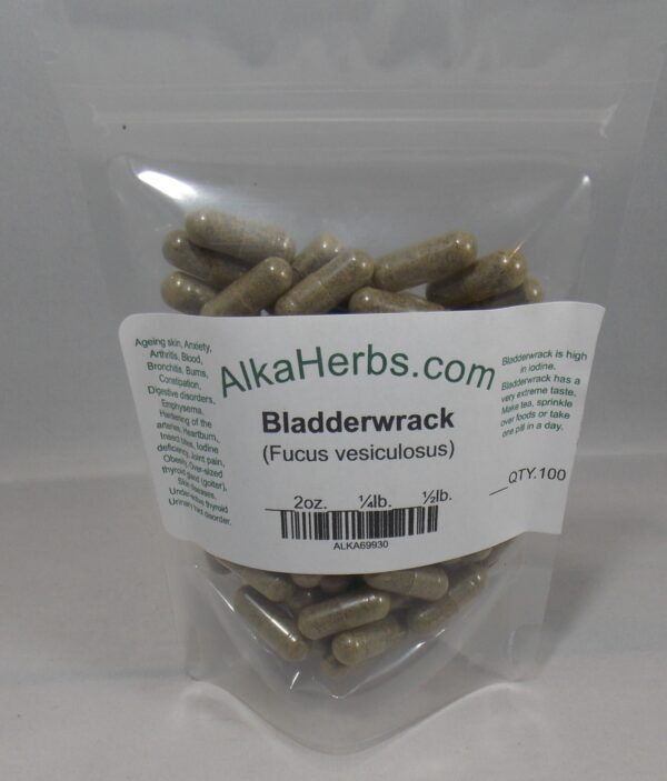 Bladderwrack ( Fucus vesiculosus ) Natural Herbal Capsules for Sale 4