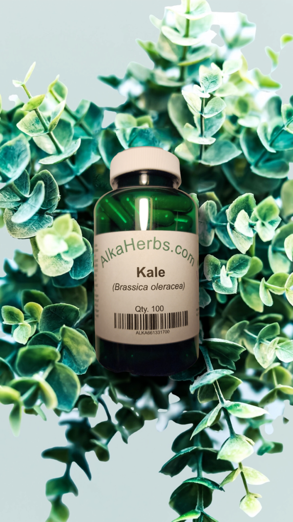 Kale (Brassica oleracea) – Qty. 100 Capsules Food 3