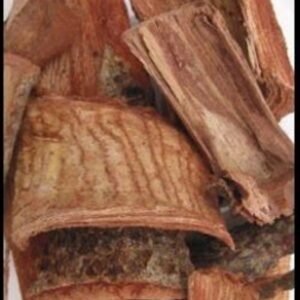 Cuachalalate Bark (Ampbypteryngium adstingens) Natural Herbal Teas