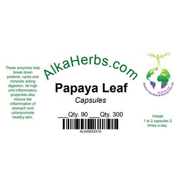 Papaya Leaf Natural Herbal Teas 4