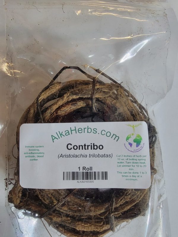 Contribo (Aristolachia trilobatas) Herb analgesic 3
