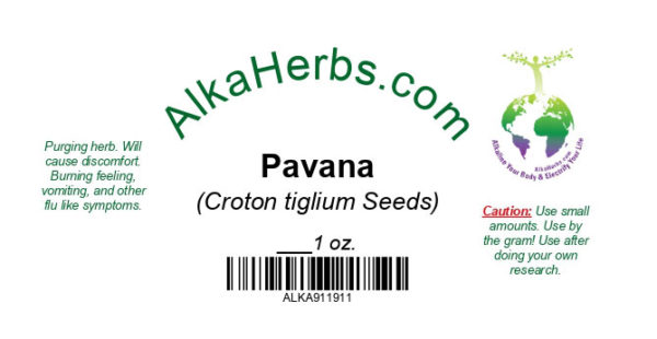 Pavana Seeds 1 oz. (Croton Tiglium) Herb 4