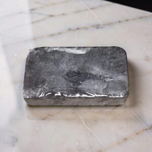 Batana Soap (Honduras) Topical